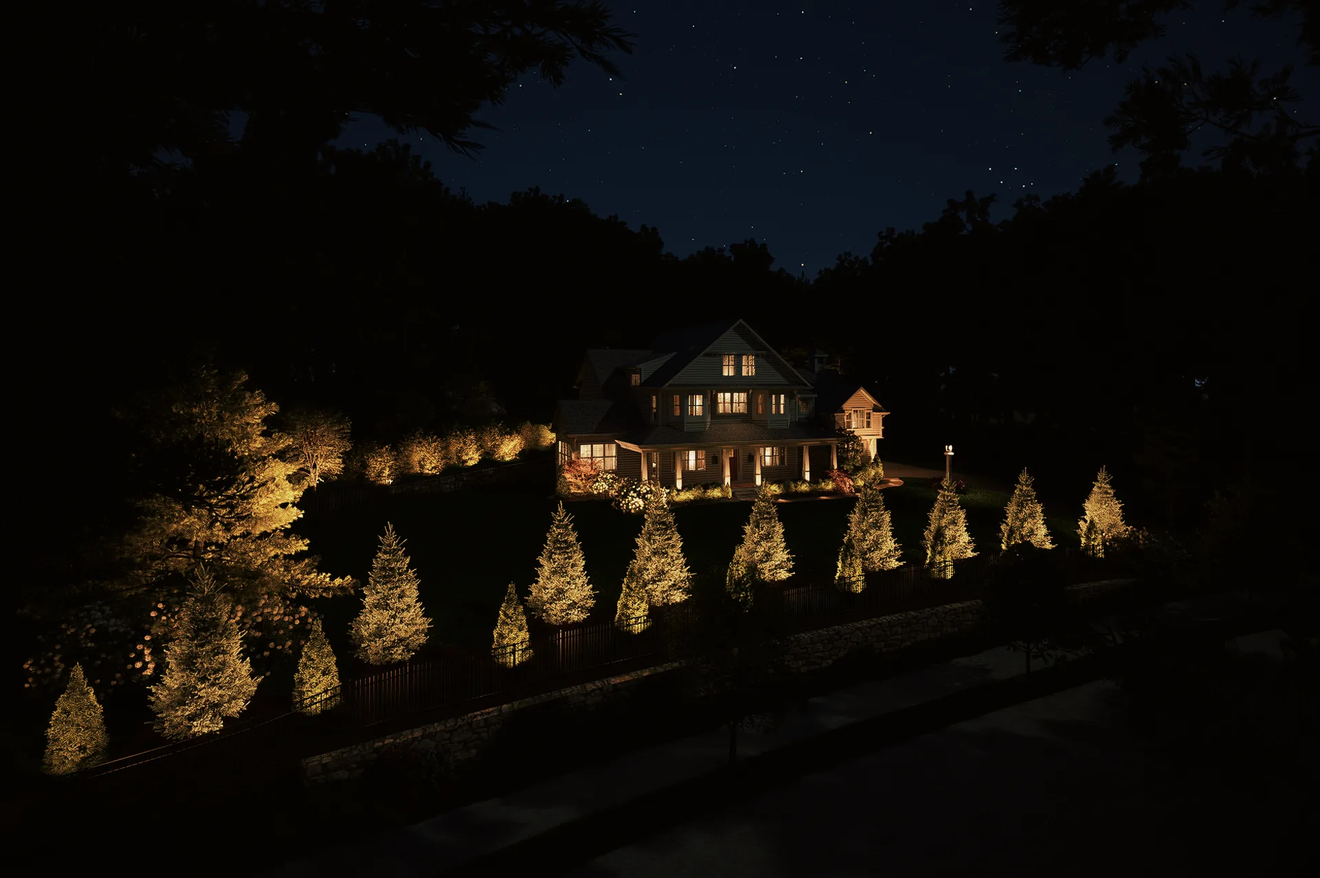 Front lawn tree row uplit at night