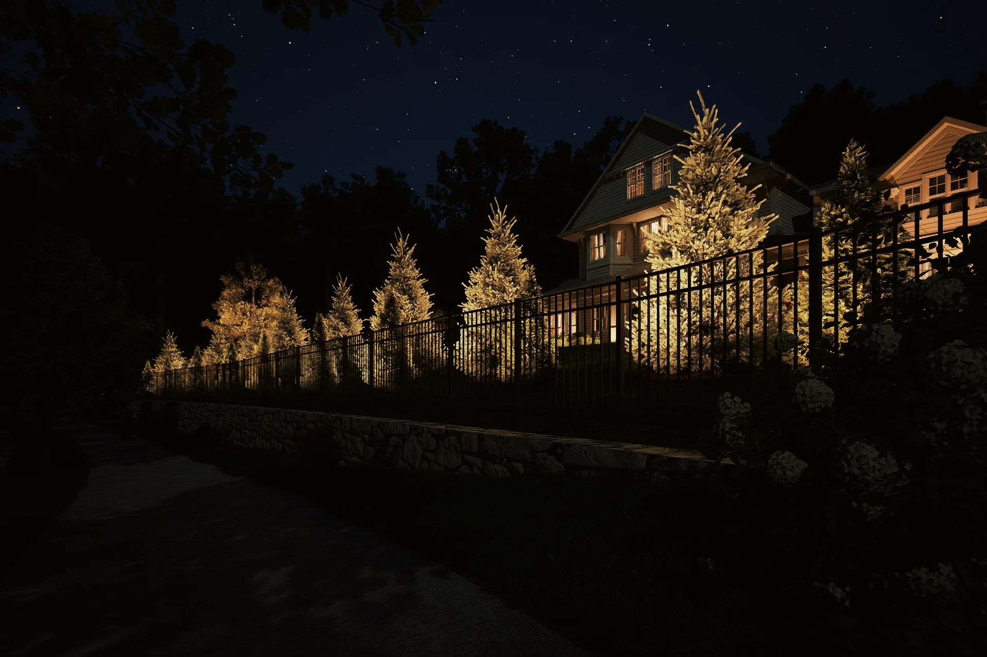 Fence line and evergreen row at night