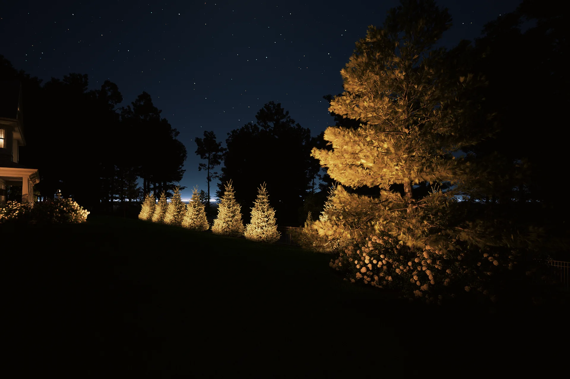 Rear grade with uplit pine and hydrangea beds